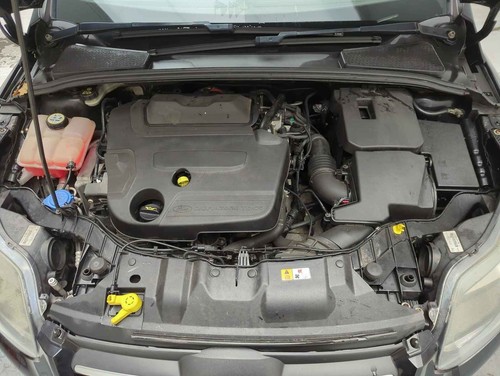 Exhaust particulate filter dpf - exhaust,