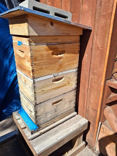 Beekeeping hives with - beekeeping, hives,with