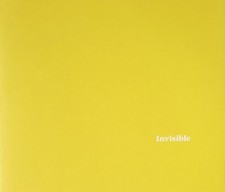 Stephen Gill - INVISIBLE, 2005