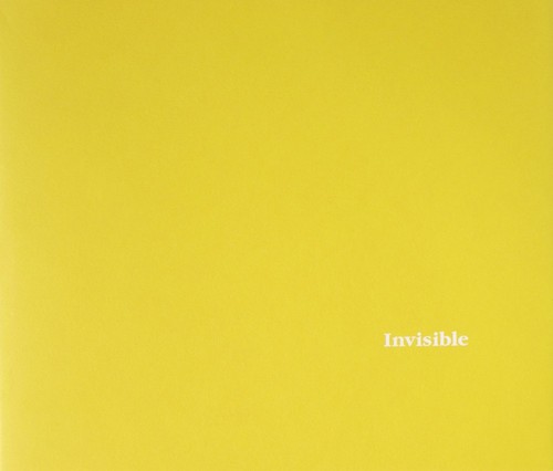 Stephen gill invisible 2005 - stephen,