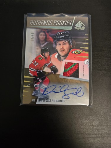 David gust chicago blackhawks - david,