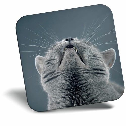 Awesome fridge magnet - -, funny