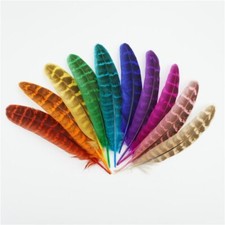 Natural Pheasant Tail Feathers, Fly Craft Decorations, Dyed Hat Art 10-15cm UK