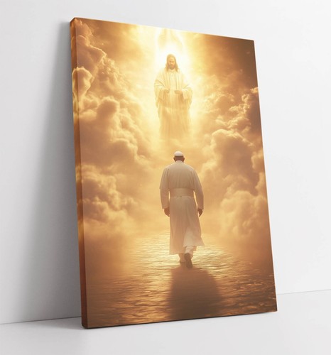 Pope francis meeting - pope, in
