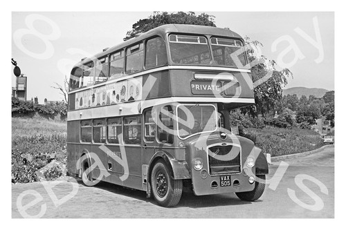 Bus photograph red white - bus,