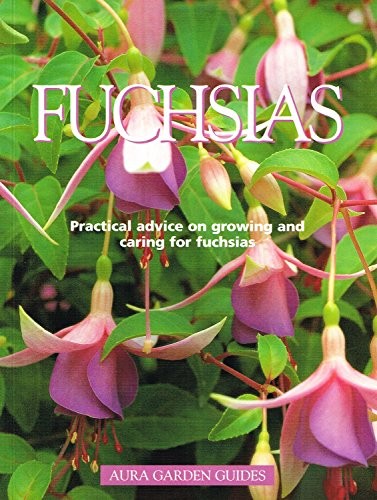 Fuchsias - (aura, guides)