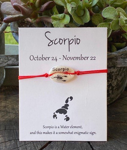 Scorpio seashell bracelet - seashell,