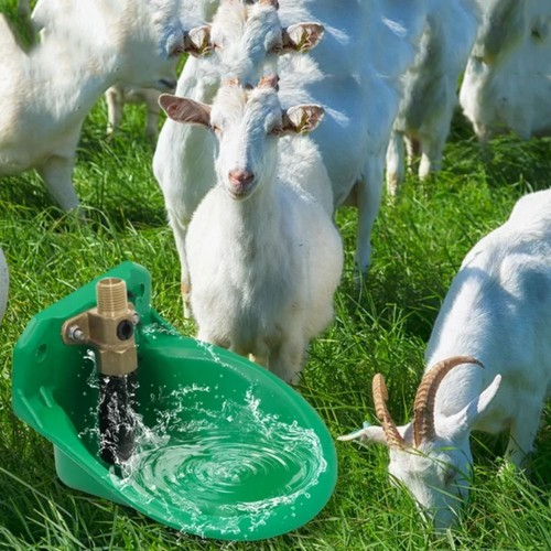 Automatic water bowl - automatic,