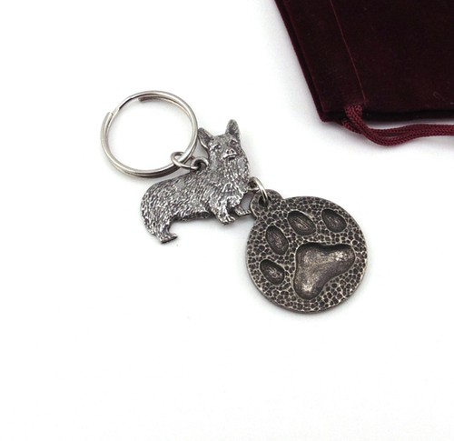 Welsh corgi and - dog, paw