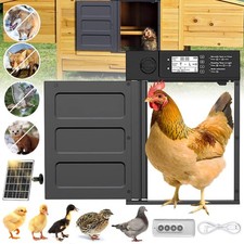Automatic Chicken Door Chicken