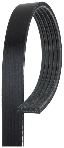 Gates 5pk880 ribbed - gates, belt