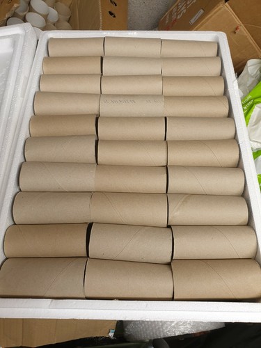 Clean toilet loo roll - clean,
