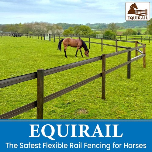 100 metre equirail premium - metre,