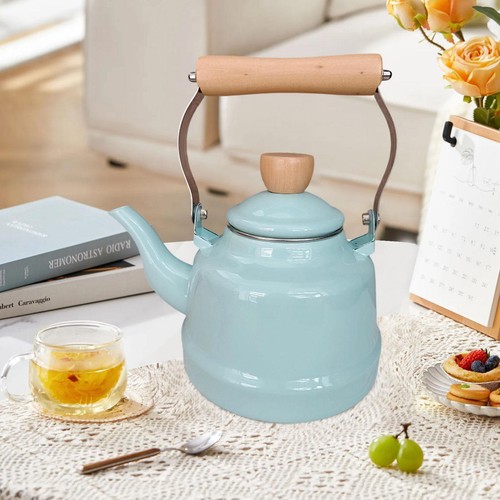 Enamel tea kettle - enamel,