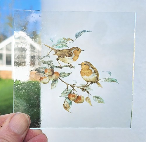 Stained glass robin bird - glass,