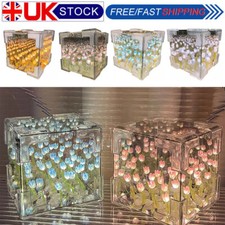 DIY Tulip Mirror LED Night