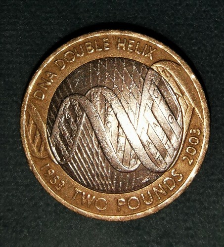 Dna double helix pound coin - helix,