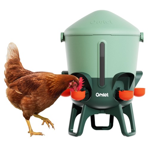 Omlet insulated chicken - omlet,