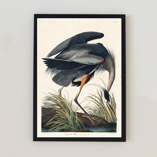 Heron vintage bird - vintage,