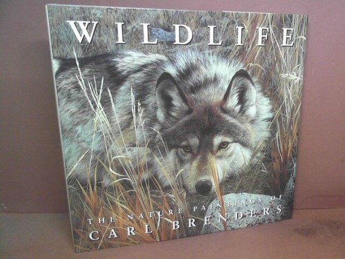 Wildlife the nature - wildlife.,