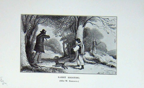 Original old antique print - original,
