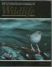 Orbis: The Illustrated