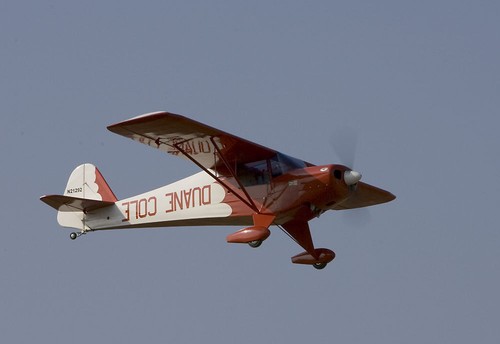 Clipped wing taylorcraft - 25%,