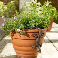 Lizard Flower Pot Hugger Resin