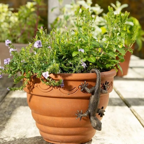 Lizard flower pot hugger - flower,
