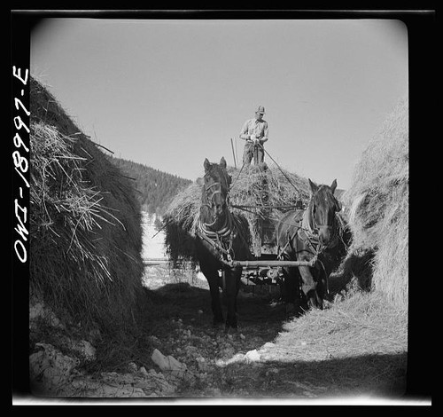 Photo moreno valley new mexico - new,