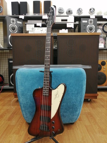 Epiphone thunder bird - epiphone, iv