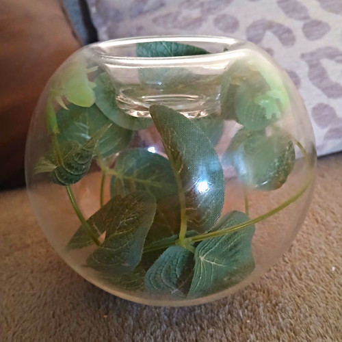 Clear round glass - round,