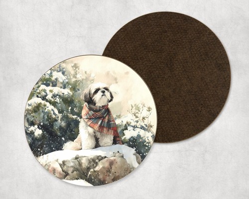 Shih tzu dog puppy winter - tzu,