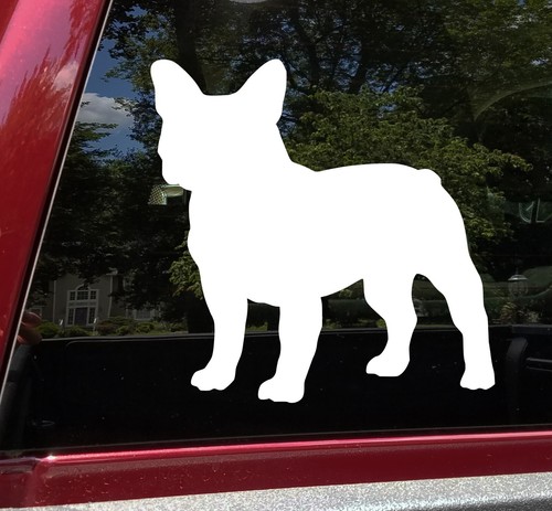 French bulldog vinyl - bulldog,