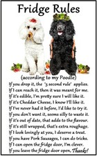 Poodle Dog Gift - Large Fridge
