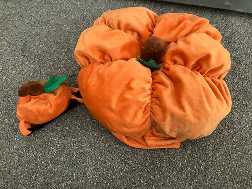 Small dog pumpkin halloween - pumpkin,