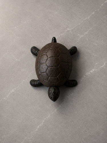 Cast iron turtle key hide - cast,