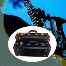 Trumpet Case for BB Horn