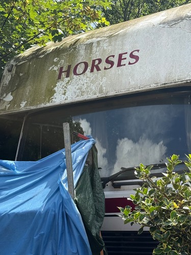 Horse box ton living - horse,