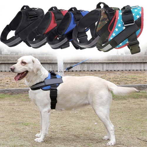 Personalized dog harness - dog, no