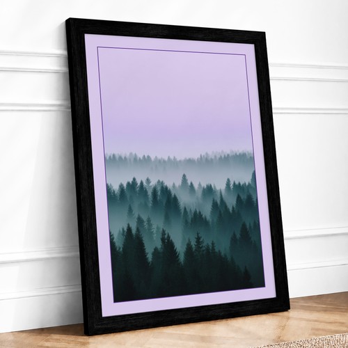 Quiet northern forest - quiet,