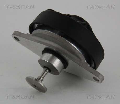 8813 24202 triscan - triscan, valve