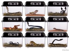 EXO TERRA BREEDING BOX STACKABLE TERRARIUM REPTILE SNAKE FROG TRANSPORTATION