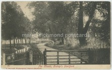 The Meads Bishops Stortford