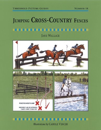 Jumping cross country - jumping, fences