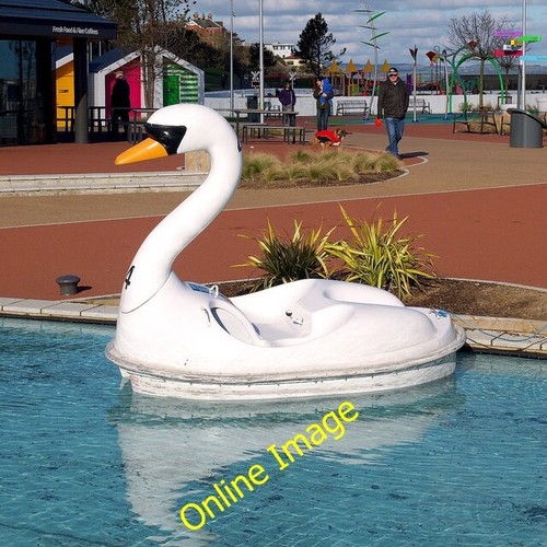 Photo 6x4 swan - photo,
