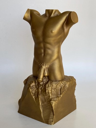 Male torso sculpture bronze - torso,
