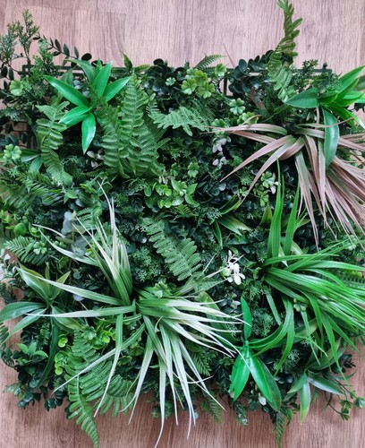 Bundleberry living wall 4 - bundleberry, x
