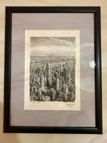 Stephen wiltshire print - wiltshire,