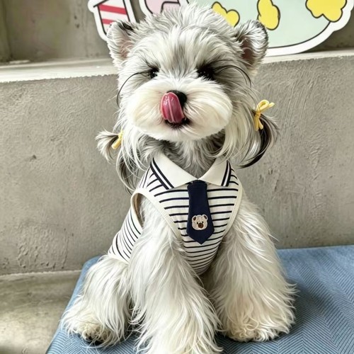 Cute striped dog - cute,
